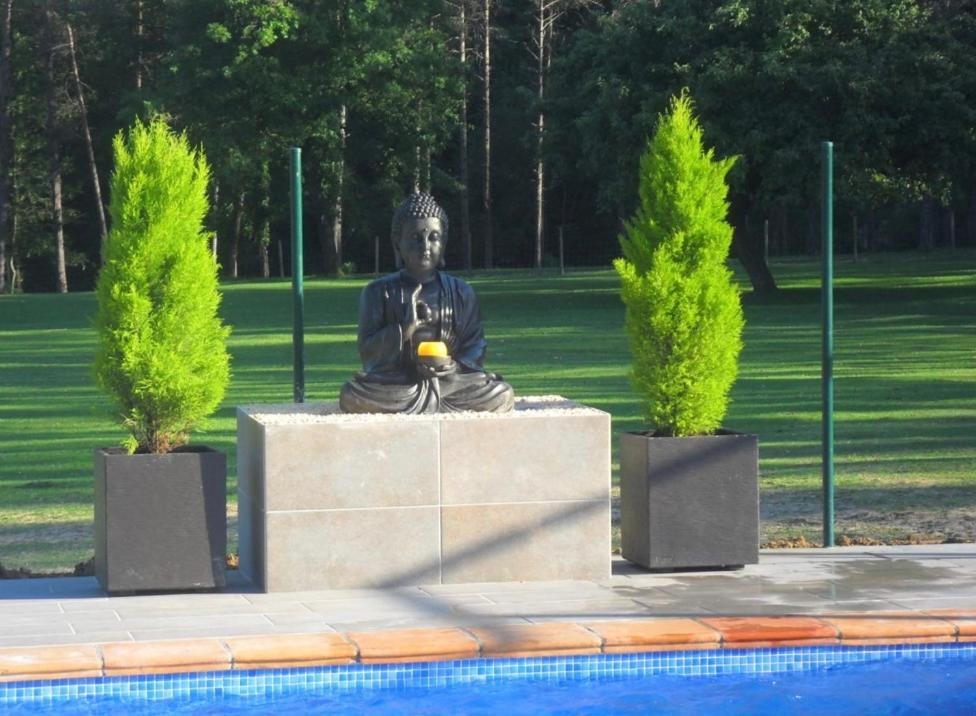 Mas La Riera Guest House Campdevánol Екстериор снимка